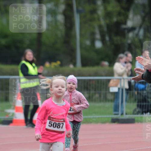 13.04.2025 - Hammer Lauf A. Gomolzig http://msf.ph/oto/7654696 13.04.2025 09:01:54 Ziel  meine-sportfotos.de