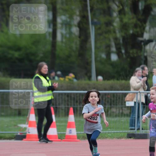 13.04.2025 - Hammer Lauf A. Gomolzig http://msf.ph/oto/7654706 13.04.2025 09:02:01 Ziel  meine-sportfotos.de