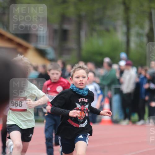 13.04.2025 - Hammer Lauf A. Gomolzig http://msf.ph/oto/7655464 13.04.2025 09:22:50 Ziel 535, 883, 909, 931, 968, 1034, 1038, 1050, 1102, 1235, 1259, 1306, 1417, 1726, 1833 meine-sportfotos.de