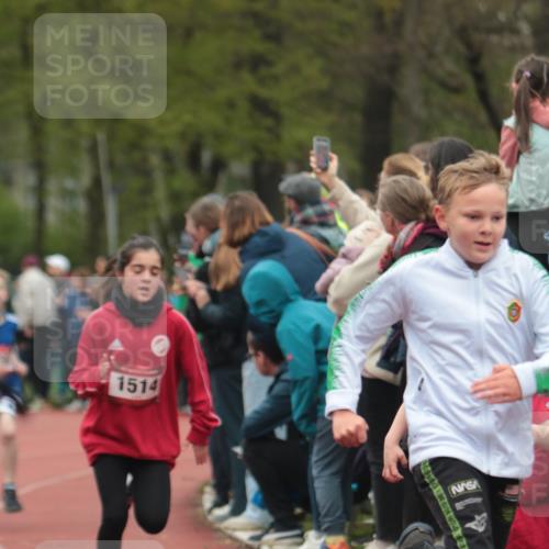 13.04.2025 - Hammer Lauf A. Gomolzig http://msf.ph/oto/7655588 13.04.2025 09:23:36 Ziel 531, 541, 629, 834, 890, 892, 898, 933, 952, 985, 1159, 1242, 1332, 1358, 1420, 1435, 1439, 1514, 1520, 1545, 1620, 1622, 1625, 1909 meine-sportfotos.de