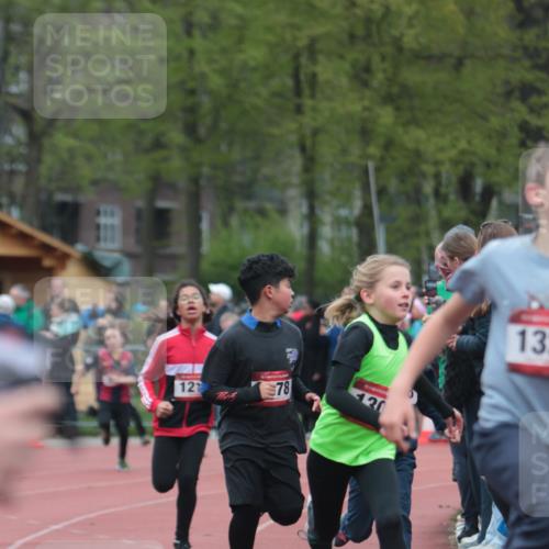13.04.2025 - Hammer Lauf A. Gomolzig http://msf.ph/oto/7655636 13.04.2025 09:23:53 Ziel 359, 597, 636, 944, 988, 1129, 1211, 1309, 1322, 1407, 1478, 1488, 1820, 1906 meine-sportfotos.de
