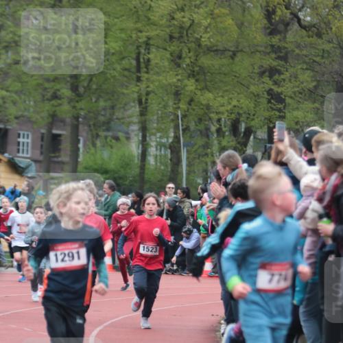 13.04.2025 - Hammer Lauf A. Gomolzig http://msf.ph/oto/7655680 13.04.2025 09:24:07 Ziel 358, 370, 774, 811, 827, 869, 907, 1291, 1370, 1415, 1493, 1512, 1519, 1523, 1535, 1823, 1856 meine-sportfotos.de