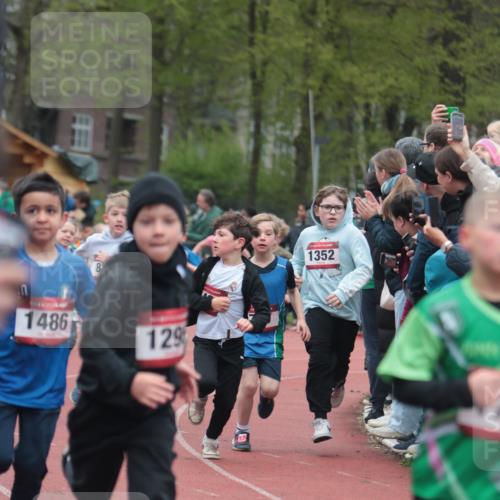 13.04.2025 - Hammer Lauf A. Gomolzig http://msf.ph/oto/7655745 13.04.2025 09:24:28 Ziel 785, 793, 801, 825, 877, 992, 1036, 1065, 1116, 1295, 1352, 1426, 1431, 1437, 1442, 1452, 1470, 1486, 1540, 1621, 1623, 1722, 1886, 1905 meine-sportfotos.de