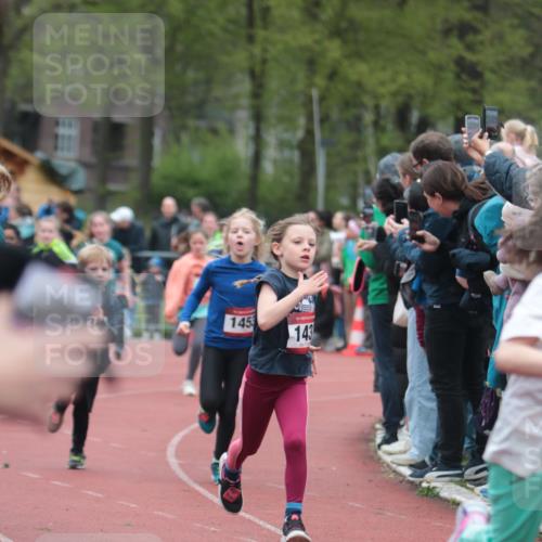 13.04.2025 - Hammer Lauf A. Gomolzig http://msf.ph/oto/7655780 13.04.2025 09:24:44 Ziel 788, 796, 845, 893, 1186, 1292, 1311, 1316, 1367, 1401, 1432, 1445, 1446, 1453, 1506, 1513, 1524, 1550, 1754, 1773, 1834 meine-sportfotos.de