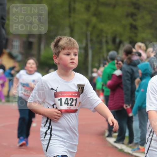 13.04.2025 - Hammer Lauf A. Gomolzig http://msf.ph/oto/7655919 13.04.2025 09:25:44 Ziel 402, 657, 777, 816, 820, 866, 901, 941, 1126, 1141, 1172, 1419, 1421, 1425, 1474, 1536, 1547, 1918 meine-sportfotos.de