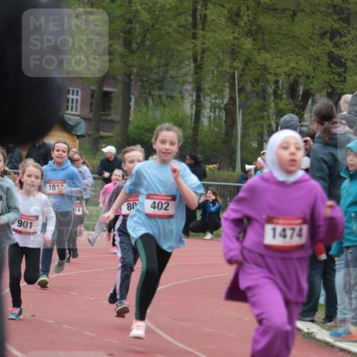 13.04.2025 - Hammer Lauf A. Gomolzig http://msf.ph/oto/7655949 13.04.2025 09:25:53 Ziel 402, 640, 803, 809, 901, 921, 1126, 1315, 1414, 1423, 1474, 1811 meine-sportfotos.de