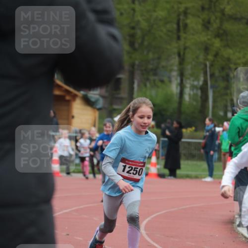13.04.2025 - Hammer Lauf A. Gomolzig http://msf.ph/oto/7655977 13.04.2025 09:26:04 Ziel 805, 836, 848, 854, 865, 934, 942, 964, 1240, 1250, 1320, 1448, 1456, 1710 meine-sportfotos.de