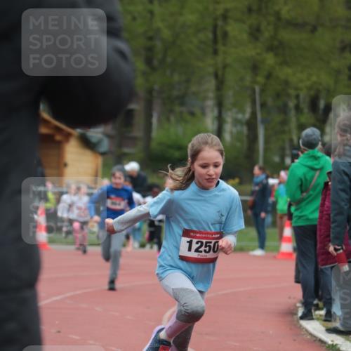 13.04.2025 - Hammer Lauf A. Gomolzig http://msf.ph/oto/7655978 13.04.2025 09:26:04 Ziel 805, 836, 848, 854, 865, 934, 942, 964, 1240, 1250, 1320, 1448, 1456, 1710 meine-sportfotos.de