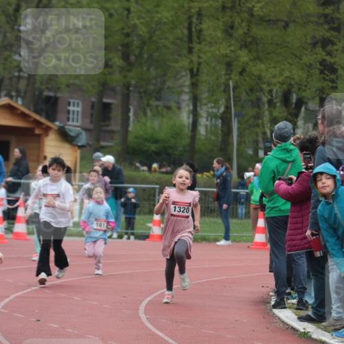 13.04.2025 - Hammer Lauf A. Gomolzig http://msf.ph/oto/7655997 13.04.2025 09:26:11 Ziel 842, 934, 940, 942, 1015, 1320, 1355, 1448, 1456, 1617, 1825 meine-sportfotos.de