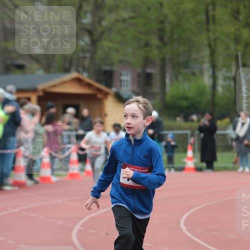13.04.2025 - Hammer Lauf A. Gomolzig http://msf.ph/oto/7656051 13.04.2025 09:26:49 Ziel 789, 794, 894, 1469 meine-sportfotos.de
