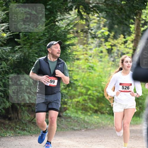 13.04.2025 - Hammer Lauf Dr. Thomas Lammeyer http://msf.ph/oto/7656859 13.04.2025 10:41:04 Laufen 99, 96, 15, 526 meine-sportfotos.de