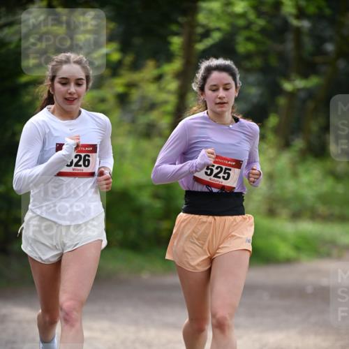 13.04.2025 - Hammer Lauf Dr. Thomas Lammeyer http://msf.ph/oto/7656878 13.04.2025 10:41:06 Laufen 26, 525 meine-sportfotos.de