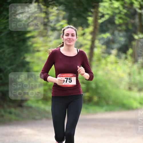 13.04.2025 - Hammer Lauf Dr. Thomas Lammeyer http://msf.ph/oto/7657062 13.04.2025 10:41:41 Laufen 15, 75 meine-sportfotos.de