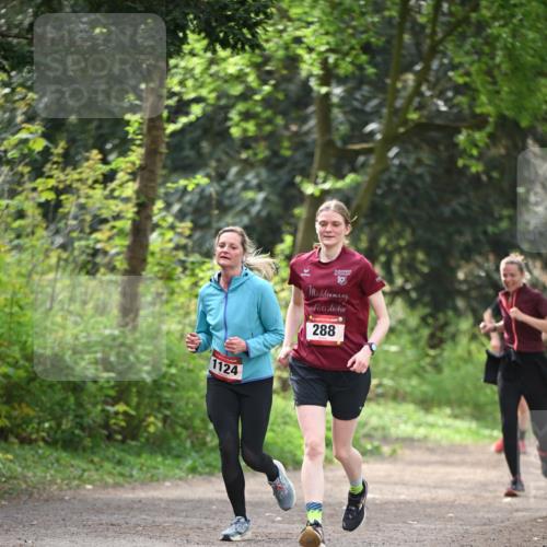13.04.2025 - Hammer Lauf Dr. Thomas Lammeyer http://msf.ph/oto/7657073 13.04.2025 10:41:44 Laufen 1124, 288 meine-sportfotos.de