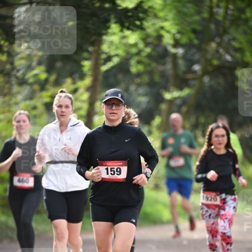 13.04.2025 - Hammer Lauf Dr. Thomas Lammeyer http://msf.ph/oto/7657226 13.04.2025 10:42:11 Laufen 460, 15, 159, 1920 meine-sportfotos.de