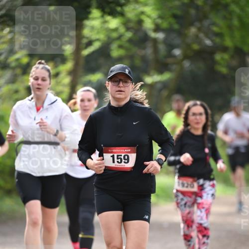 13.04.2025 - Hammer Lauf Dr. Thomas Lammeyer http://msf.ph/oto/7657233 13.04.2025 10:42:11 Laufen 15, 159, 920 meine-sportfotos.de