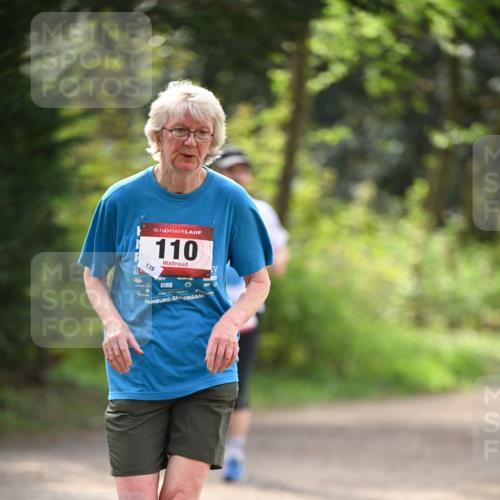 13.04.2025 - Hammer Lauf Dr. Thomas Lammeyer http://msf.ph/oto/7657804 13.04.2025 10:43:56 Laufen 15, 139, 110 meine-sportfotos.de