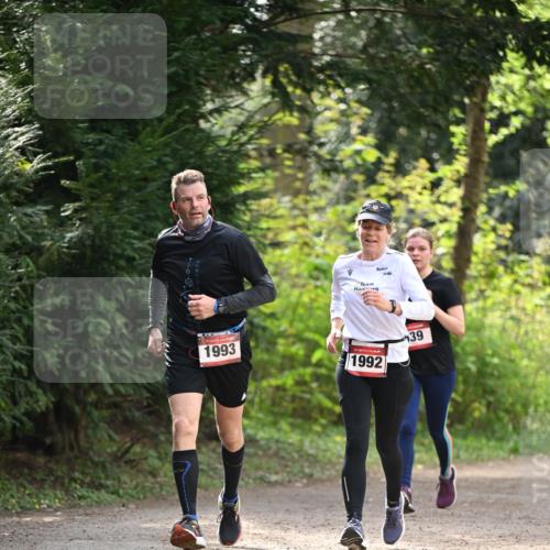 13.04.2025 - Hammer Lauf Dr. Thomas Lammeyer http://msf.ph/oto/7658136 13.04.2025 10:45:26 Laufen 1993, 1992, 39 meine-sportfotos.de