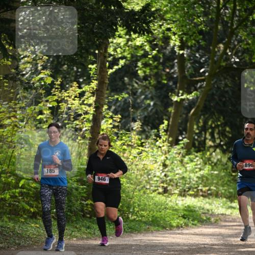 13.04.2025 - Hammer Lauf Dr. Thomas Lammeyer http://msf.ph/oto/7658346 13.04.2025 10:46:30 Laufen 185, 946, 896 meine-sportfotos.de