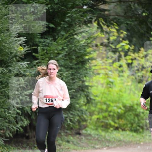 13.04.2025 - Hammer Lauf Dr. Thomas Lammeyer http://msf.ph/oto/7662451 13.04.2025 11:29:31 Laufen 15, 1267 meine-sportfotos.de