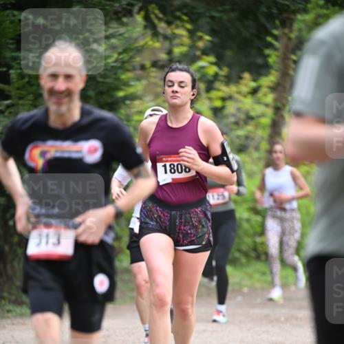 13.04.2025 - Hammer Lauf Dr. Thomas Lammeyer http://msf.ph/oto/7662847 13.04.2025 11:30:23 Laufen 313, 15, 1806, 247, 125 meine-sportfotos.de