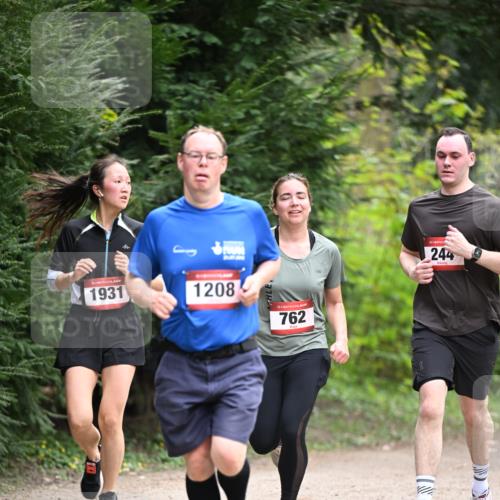 13.04.2025 - Hammer Lauf Dr. Thomas Lammeyer http://msf.ph/oto/7664029 13.04.2025 11:33:07 Laufen 1931, 1208, 15, 762, 15, 244 meine-sportfotos.de