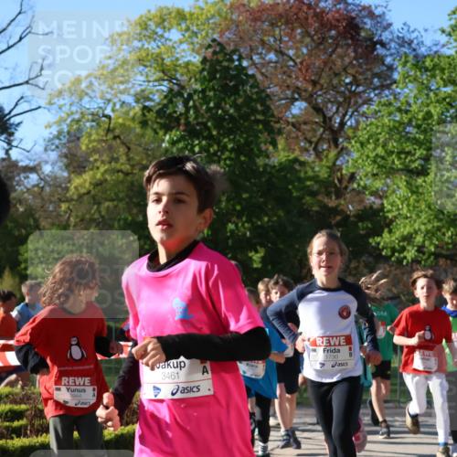 25.04.2025 - Das Zehntel Zöllner http://msf.ph/oto/7672862 26.04.2025 07:42:24 Laufen 3944, 3461, 1730 meine-sportfotos.de