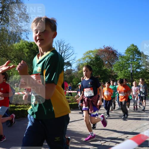 25.04.2025 - Das Zehntel Zöllner http://msf.ph/oto/7673769 26.04.2025 07:44:13 Laufen  meine-sportfotos.de