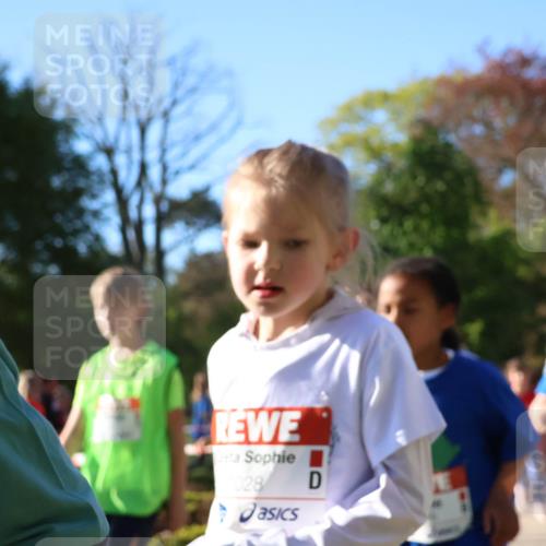 25.04.2025 - Das Zehntel Zöllner http://msf.ph/oto/7675367 26.04.2025 07:47:02 Laufen 028 meine-sportfotos.de