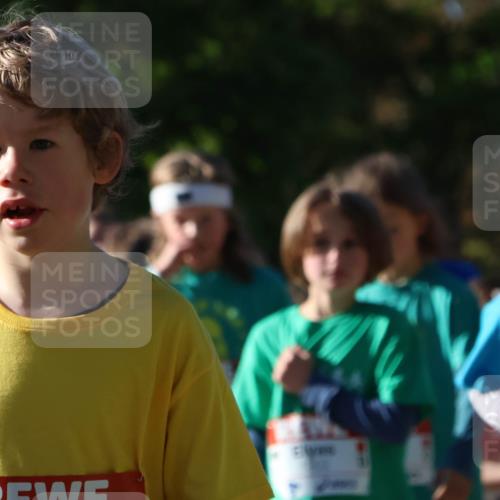 25.04.2025 - Das Zehntel Zöllner http://msf.ph/oto/7676551 26.04.2025 07:48:30 Laufen  meine-sportfotos.de
