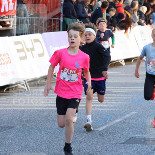 25.04.2025 - Das Zehntel Strokosch-Dieckow http://msf.ph/oto/7683481 26.04.2025 08:52:13 Ziel 1112, 1113, 1171, 1621, 1788, 2348, 2481, 2505, 2644, 2700, 2779, 2975, 3066, 3486, 3538, 3720, 3856, 3873 meine-sportfotos.de