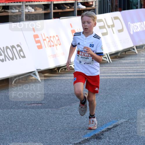 25.04.2025 - Das Zehntel Strokosch-Dieckow http://msf.ph/oto/7691879 26.04.2025 08:50:14 Ziel 1107, 1131, 2383, 2995, 3539, 3540 meine-sportfotos.de