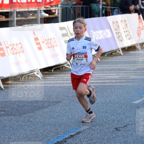 25.04.2025 - Das Zehntel Strokosch-Dieckow http://msf.ph/oto/7691911 26.04.2025 08:50:14 Ziel 1107, 1131, 2383, 2995, 3539, 3540 meine-sportfotos.de