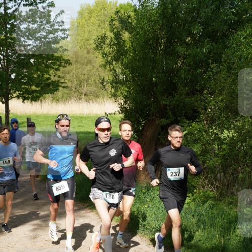 04.05.2025 - 8. Wedeler Halbmarathon Felixshl http://msf.ph/oto/7819208 04.05.2025 10:01:23 Laufen 159, 533, 659, 188, 237 meine-sportfotos.de