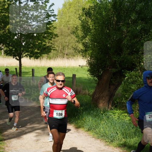 04.05.2025 - 8. Wedeler Halbmarathon Felixshl http://msf.ph/oto/7819217 04.05.2025 10:01:26 Laufen 731, 186, 20 meine-sportfotos.de