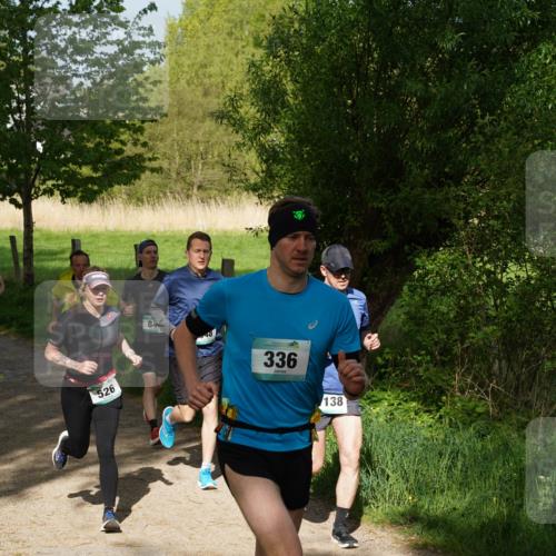 04.05.2025 - 8. Wedeler Halbmarathon Felixshl http://msf.ph/oto/7819233 04.05.2025 10:01:30 Laufen 526, 84, 336, 138 meine-sportfotos.de