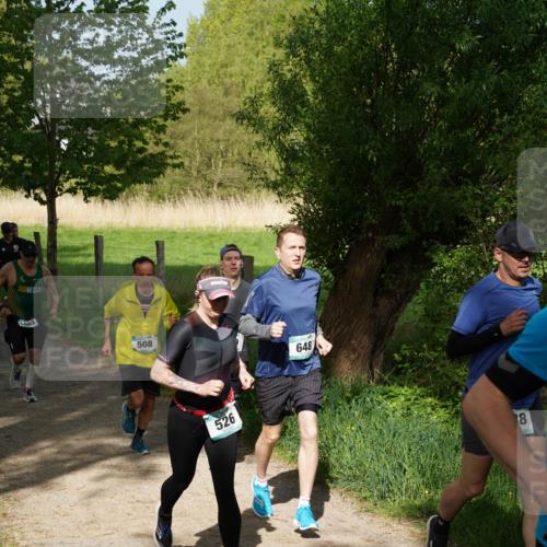04.05.2025 - 8. Wedeler Halbmarathon Felixshl http://msf.ph/oto/7819234 04.05.2025 10:01:31 Laufen 1903, 508, 526, 648, 8 meine-sportfotos.de