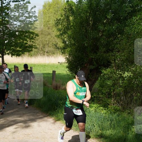 04.05.2025 - 8. Wedeler Halbmarathon Felixshl http://msf.ph/oto/7819245 04.05.2025 10:01:34 Laufen 624, 73, 77, 1003 meine-sportfotos.de