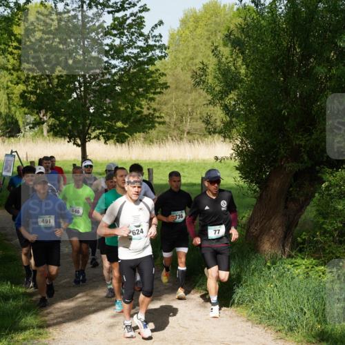 04.05.2025 - 8. Wedeler Halbmarathon Felixshl http://msf.ph/oto/7819248 04.05.2025 10:01:35 Laufen 491, 846, 624, 736, 77 meine-sportfotos.de