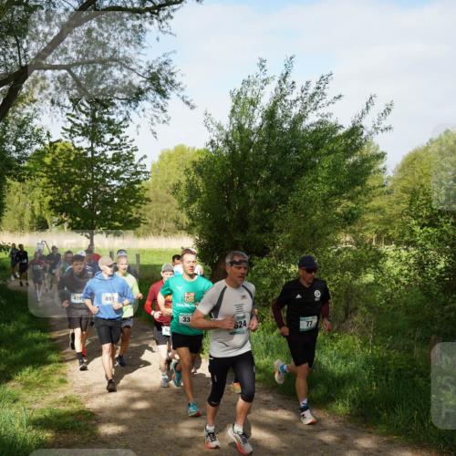 04.05.2025 - 8. Wedeler Halbmarathon Felixshl http://msf.ph/oto/7819252 04.05.2025 10:01:36 Laufen 479, 491, 33, 624, 77 meine-sportfotos.de