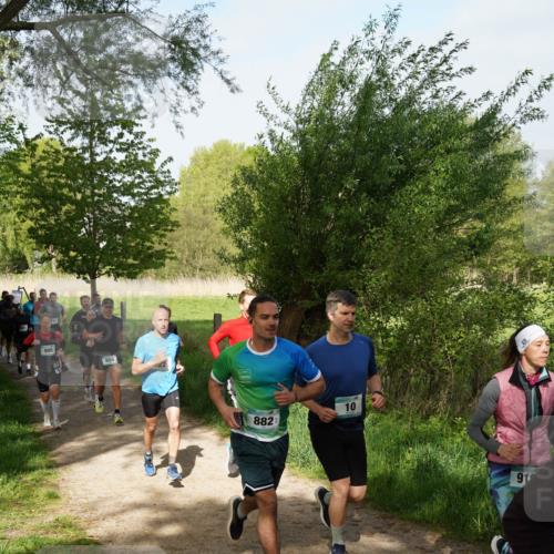 04.05.2025 - 8. Wedeler Halbmarathon Felixshl http://msf.ph/oto/7819258 04.05.2025 10:01:39 Laufen 882, 10 meine-sportfotos.de