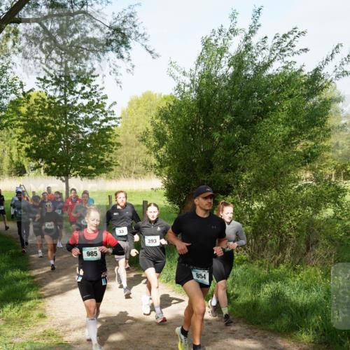 04.05.2025 - 8. Wedeler Halbmarathon Felixshl http://msf.ph/oto/7819271 04.05.2025 10:01:42 Laufen 455, 985, 33, 393, 854 meine-sportfotos.de