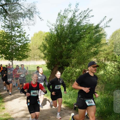 04.05.2025 - 8. Wedeler Halbmarathon Felixshl http://msf.ph/oto/7819277 04.05.2025 10:01:42 Laufen 455, 184, 985, 393, 854 meine-sportfotos.de