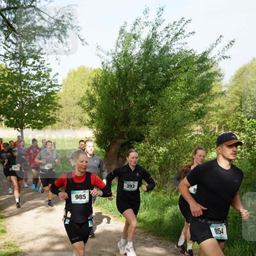 04.05.2025 - 8. Wedeler Halbmarathon Felixshl http://msf.ph/oto/7819278 04.05.2025 10:01:42 Laufen 455, 985, 393, 5, 854 meine-sportfotos.de