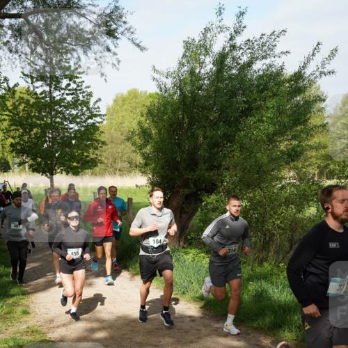 04.05.2025 - 8. Wedeler Halbmarathon Felixshl http://msf.ph/oto/7819280 04.05.2025 10:01:44 Laufen 301, 455, 184, 314, 33 meine-sportfotos.de
