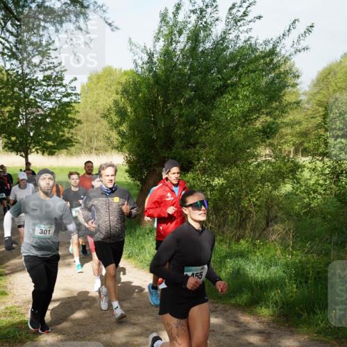 04.05.2025 - 8. Wedeler Halbmarathon Felixshl http://msf.ph/oto/7819288 04.05.2025 10:01:45 Laufen 75, 301, 155 meine-sportfotos.de