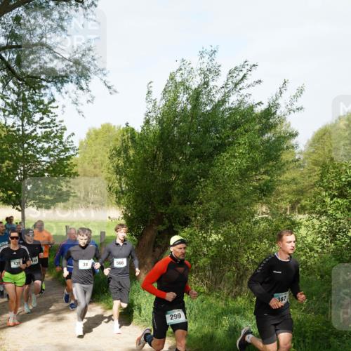 04.05.2025 - 8. Wedeler Halbmarathon Felixshl http://msf.ph/oto/7819320 04.05.2025 10:01:49 Laufen 139, 31, 566, 299, 367 meine-sportfotos.de