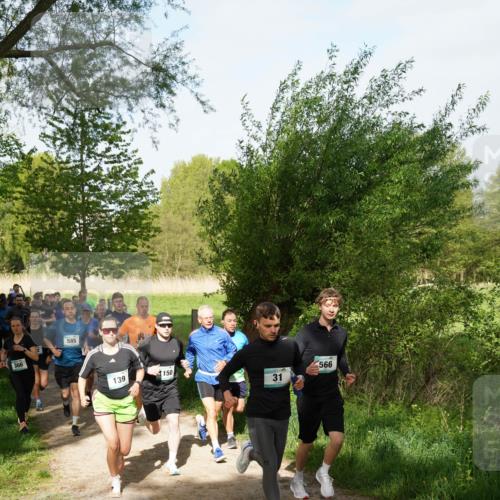 04.05.2025 - 8. Wedeler Halbmarathon Felixshl http://msf.ph/oto/7819329 04.05.2025 10:01:50 Laufen 366, 585, 139, 1150, 31, 566 meine-sportfotos.de