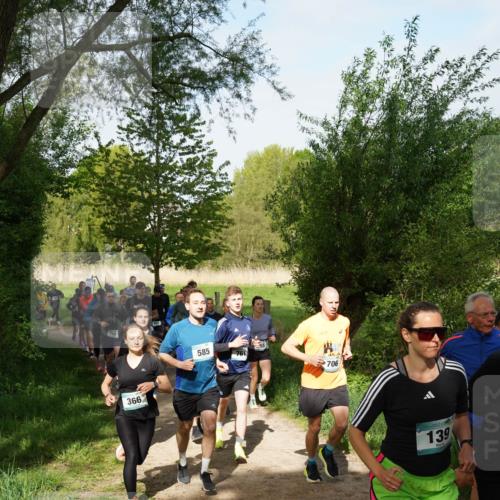 04.05.2025 - 8. Wedeler Halbmarathon Felixshl http://msf.ph/oto/7819337 04.05.2025 10:01:52 Laufen 366, 585, 706, 139 meine-sportfotos.de