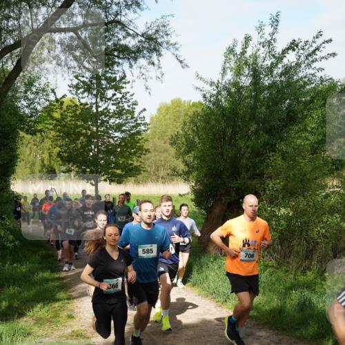 04.05.2025 - 8. Wedeler Halbmarathon Felixshl http://msf.ph/oto/7819345 04.05.2025 10:01:52 Laufen 198, 68, 366, 745, 585, 706 meine-sportfotos.de